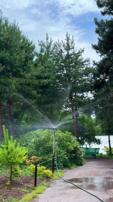 Working irrigation system watering flower bed garden time lapse video Stock Footage 313672095