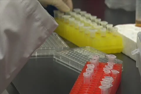 Working in a lab Stock Footage 11351194