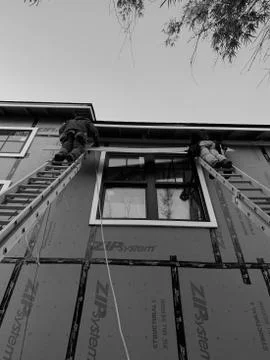 Working on Ladders Stock Photos