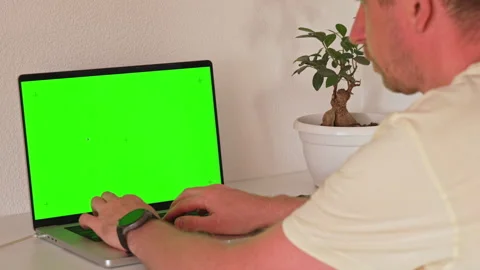 Working on a laptop with a green screen background in a room with a plant Stock Footage 339584795