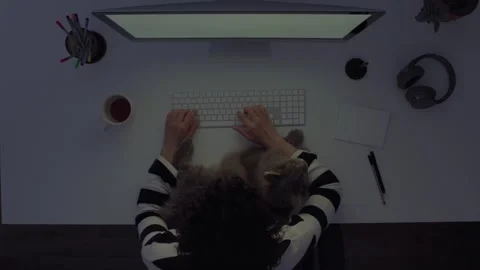 Working late with a cat on my lap Stock Footage 242861179