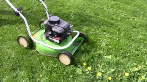 Working lawn-mower Stock Footage 24696684