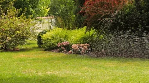 Working lawn watering system at summer time Stock Footage 86691860