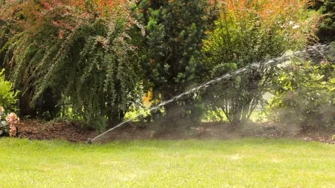 Working lawn watering system at summer time Video stock 86693057