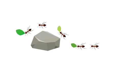 Working leafcutter ants transporting leaf fragments on jungle ground 4K Stock Footage 311872008