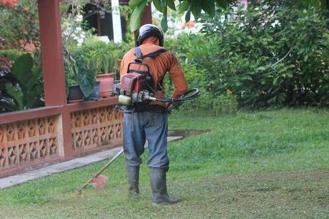 Working man cutting grass seen from behind Stock Photos