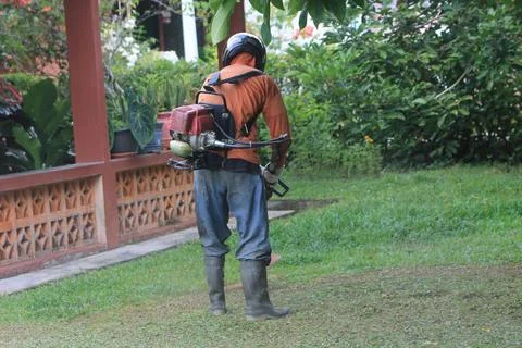Working man cutting grass seen from behind Stock Photos