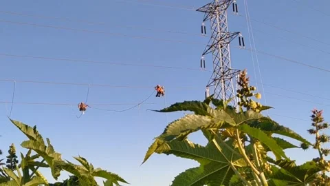 Working men in high voltage 库存影片 165411404