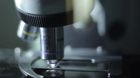 Working with microscope. Close-up Stock Footage 61773586