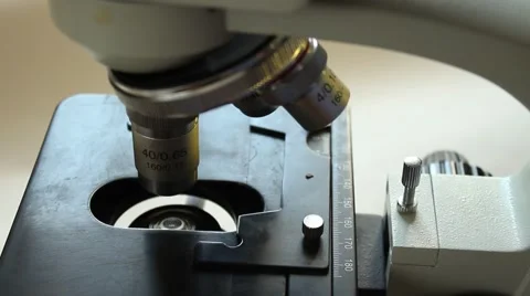 Working with a microscope. Lab microscop... | Stock Video | Pond5