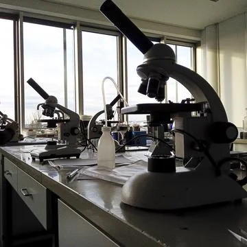 Working with microscope in lab Stock Photos
