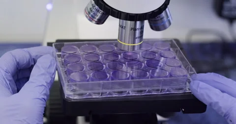 Working with a microscope in the laboratory. Stock Footage 201555470