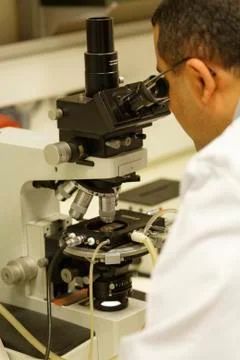 Working with a microscope 스톡 사진