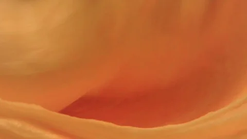 Working Mixer in Kitchen, Mixer Machine, Kitchen Stand Mixer Stock Footage 126755941