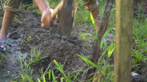 Working in Muddy Garden Stock Footage 92780705