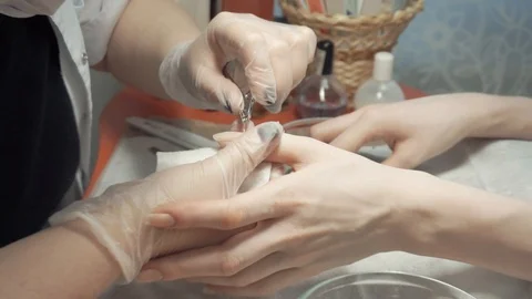 Working with nipper Stock Footage 87825389