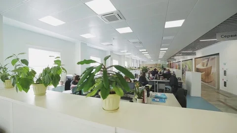Working in the office Stock Footage 86247183