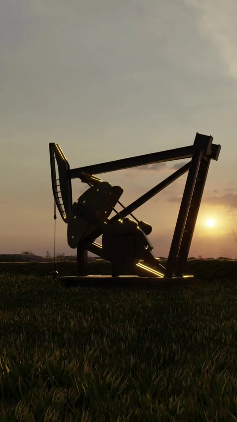 Working Oil Pumpjack in Green Field at Golden Hour Stock Footage 340020080