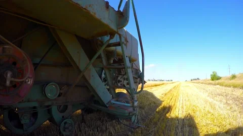 Working on the old processor bevelled wheat. Eastern Ukraine. Video stock 52465763