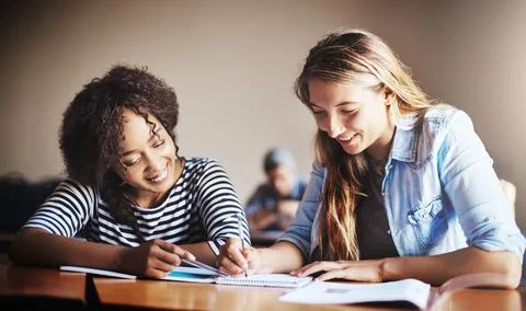 Working on our task together. Cropped shot of female university students in Stock Photos