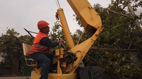 Working people, on an aerial platform, cut down trees on the street. 스톡 동영상 117690987