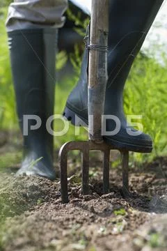 Working Stock Photos