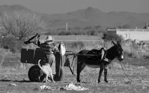 Working Stock Photos