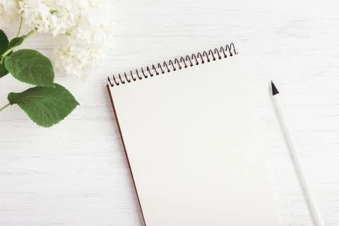 Working place with notebook. Stock Photos