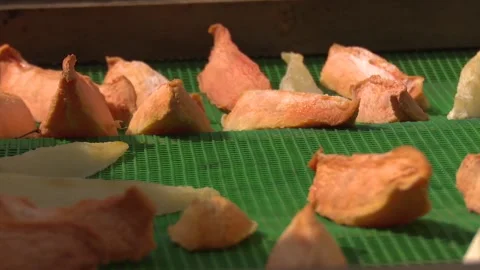 Working process in dried fruit factory Stock Footage 166710029