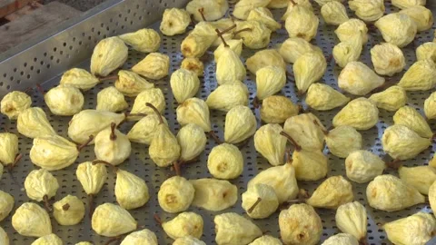 Working process in dried fruit factory Stock Footage 166711198