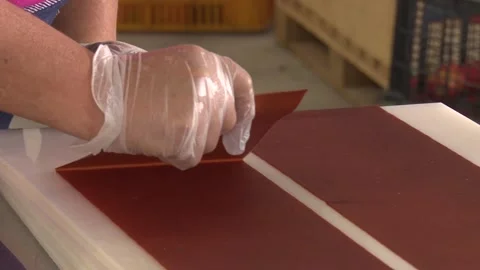 Working process in dried fruit factory Stock Footage 166711859