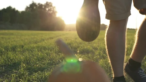 Working process of harvesting pumpkins on the eco farm at sunset Stock Footage 95590956