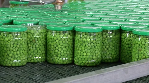 Working process of the production of green peas on cannery. Video stock 257290338