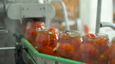 The working process of production of preserved tomatoes. Bottling tomatoes Video stock 95850392