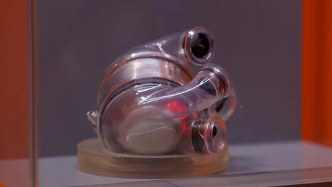 Working pump of artificial heart seen through transparent body Stock-Footage 105686367