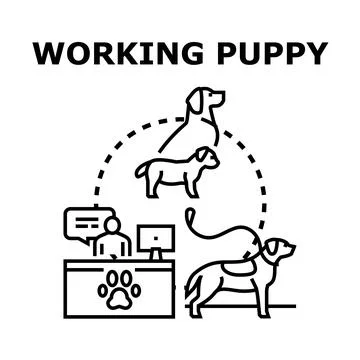 Working puppy vector concept illustrating service dog training Stock Illustration
