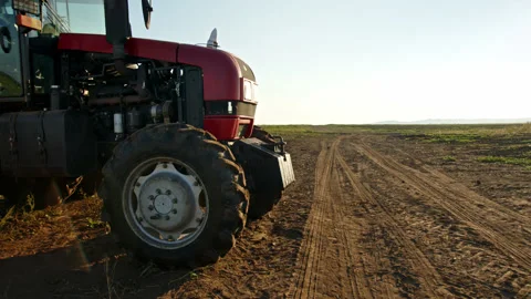 Working red tractor stand in field at dawn or dusk. Harvester for harvesting or Stock Footage 222290376