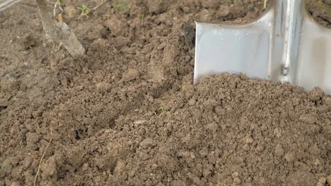 Working with a shovel on the ground Stock Footage 129271125