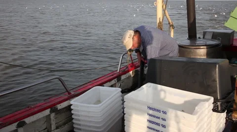 Working on a shrimp boat Stock Footage 61812038