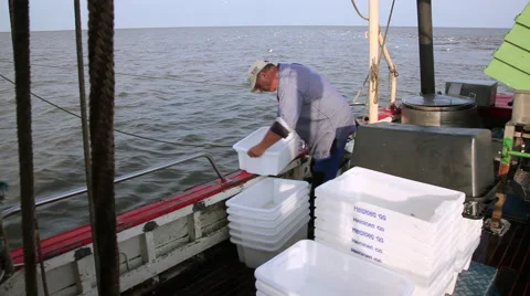 Working on a shrimp boat Stock Footage 61812836