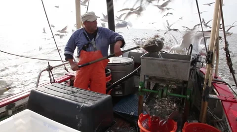 Working on a shrimp boat Stock Footage 61812862