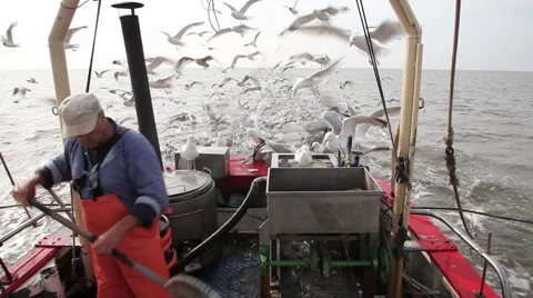 Working on a shrimp boat Stock Footage 61813009