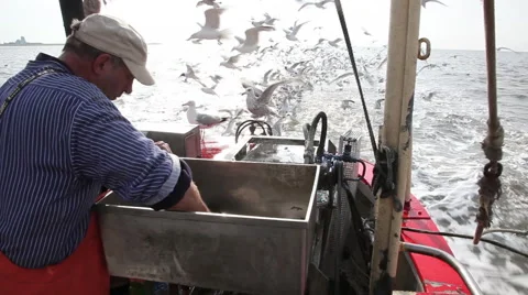 Working on a shrimp boat Stock Footage 61813130