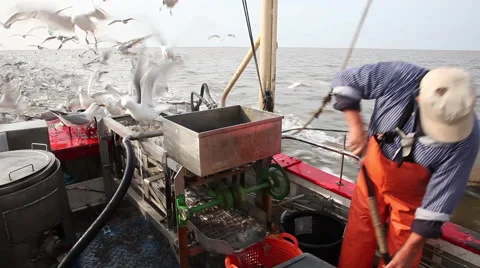 Working on a shrimp boat Stock Footage 61813267