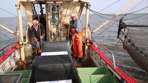 Working on a shrimp boat Video stock 61813565