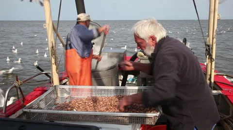 Working on a shrimp boat Stock Footage 61815380
