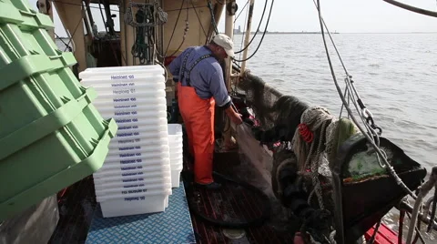 Working on a shrimp boat Video stock 61816882
