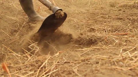 Working soil with hoe wide shot Видео 25491765