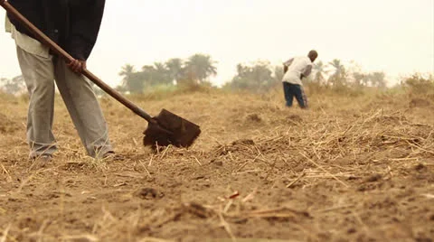 Working soil slow motion Vídeo Stock 25507842