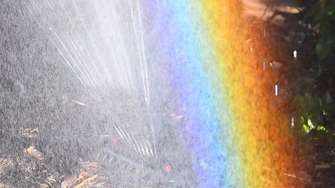 Working sprinkler in garden Stock Footage 93781158